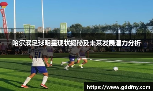 哈尔滨足球明星现状揭秘及未来发展潜力分析